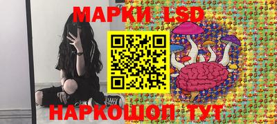 гашик Волгодонск