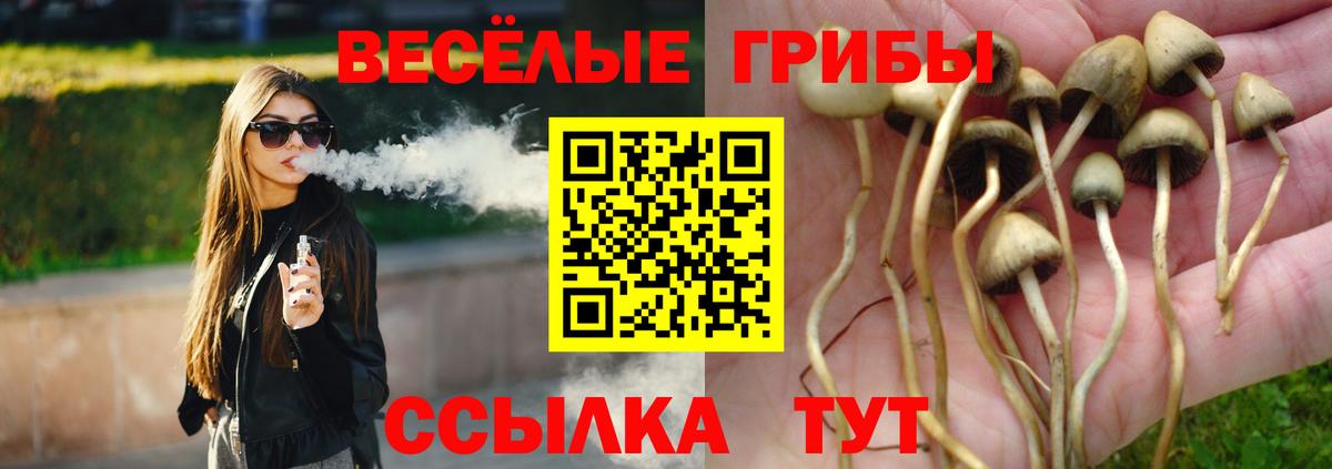 Псилоцибиновые грибы ЛСД Саяногорск