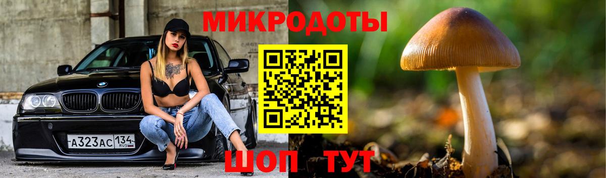 Псилоцибиновые грибы прущие грибы  Псилоцибиновые грибы прущие грибы  Саяногорск  купить наркоту  Вход с VPN 